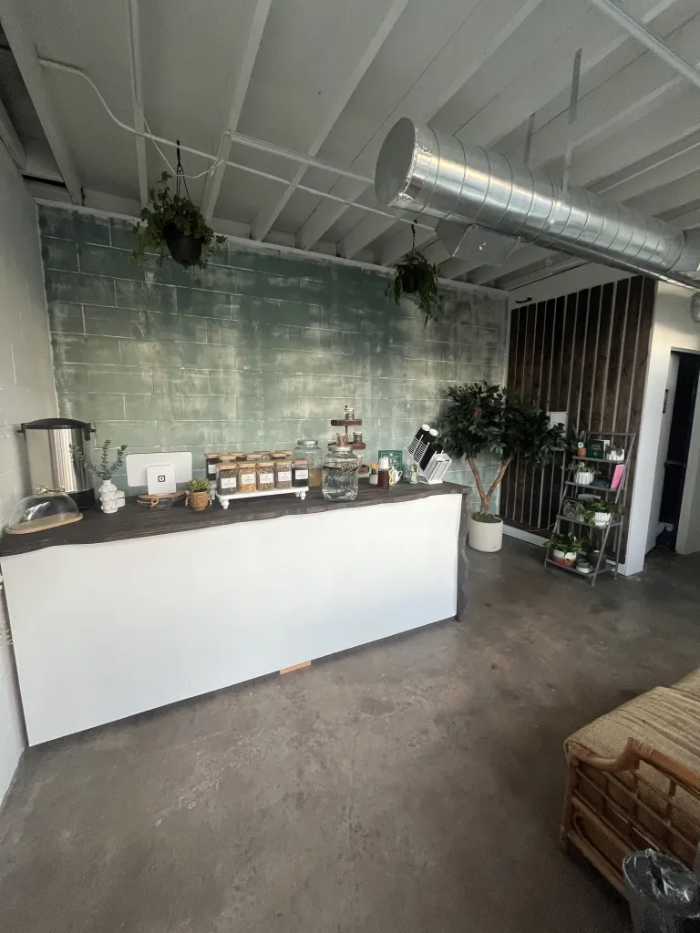 Long white bar counter with a dark live-edge top in front of a distressed sage-green brick wall, with hanging plants and exposed ductwork overhead