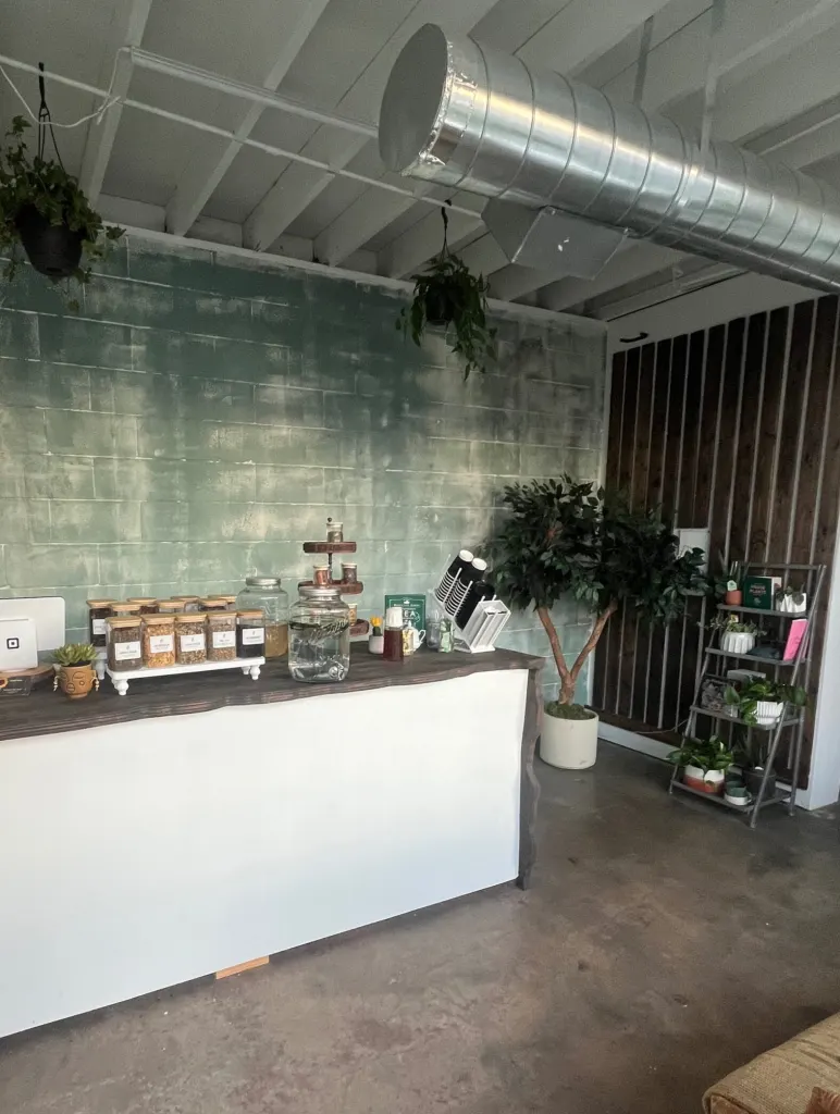 Wide view of the bar counter with tiered wooden display stands, a potted fig tree and the sage-green brick wall