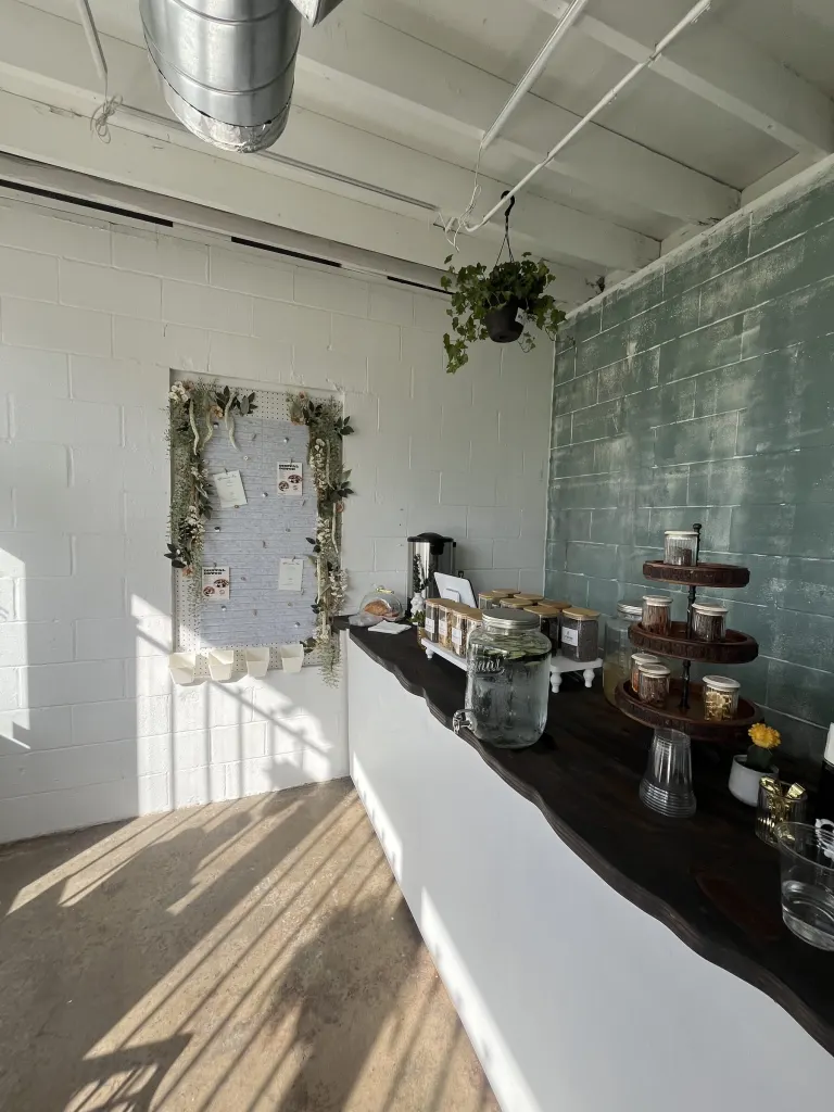 Sunlit front room at HTX Bodega with white brick walls, a sage-green painted brick accent wall, hanging plants and a long dark wood bar counter